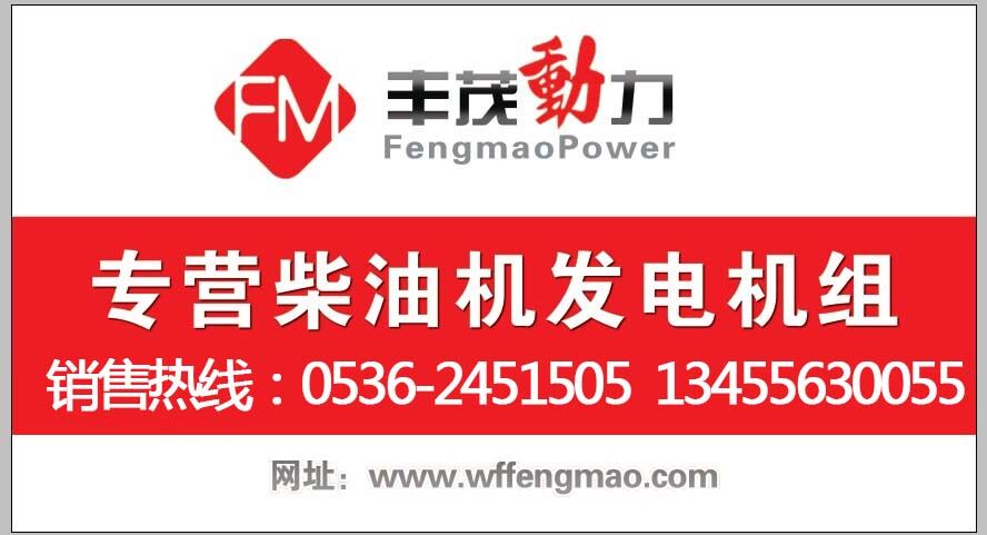 濰柴重機(jī)500KW柴油發(fā)電機(jī)組開機(jī)試驗